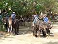 Chiang Mai P0149 Maetaman Elephant Camp